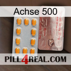 Axcil 500 new13